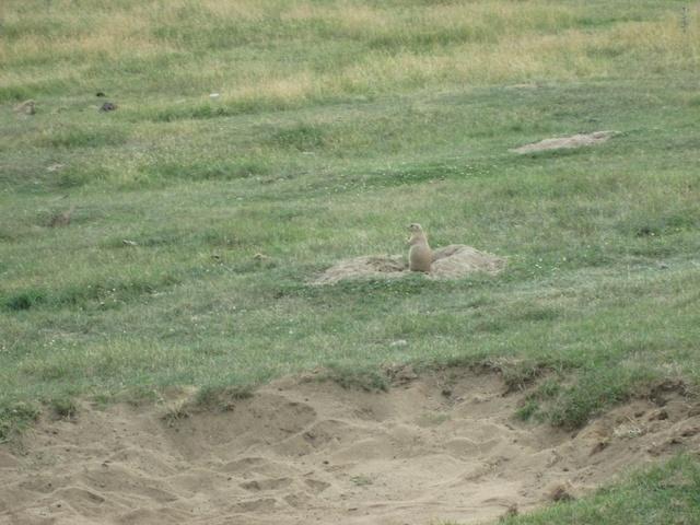 IMG 0848