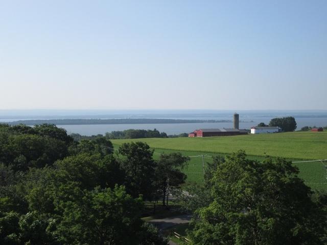 IMG 1030