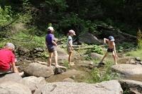 IMG 0748